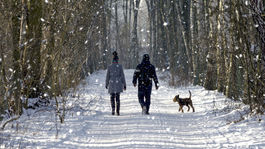 Vianočné hodovanie vycvičte