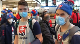 Chaos na Schwechate. Prečo čakali Slováci hodiny na odlet?