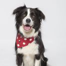 seriál bodka, bodka,