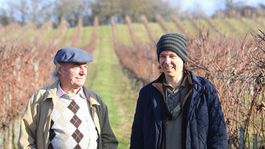 Bájka o slovenskom vianočnom hrozne