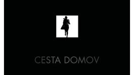 Sebastian Fitzek: Cesta domov