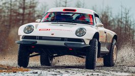 Singer All-terrain Competition Study - 2021