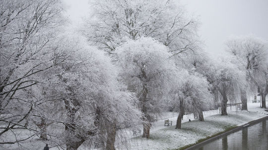 Anglicko, Warwick, 13. január 2021