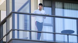 Nekŕmte myši v izbách, vyzvali tenistov. Djokovič sa ohradil voči kritike