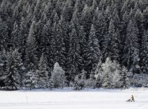 zima, sneh, sánky, sane,