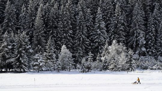 Chlapec pri sánkovaní z Hrebienka narazil do stromu. Ratovali ho horskí záchranári