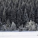 zima, sneh, sánky, sane,