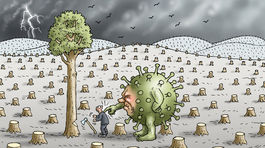 KAMENSKÝ, 26.1.2021