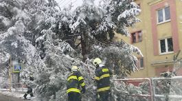 SR Prešov Počasie Sneženie Zima POX