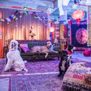 seriál bodka, bodka,