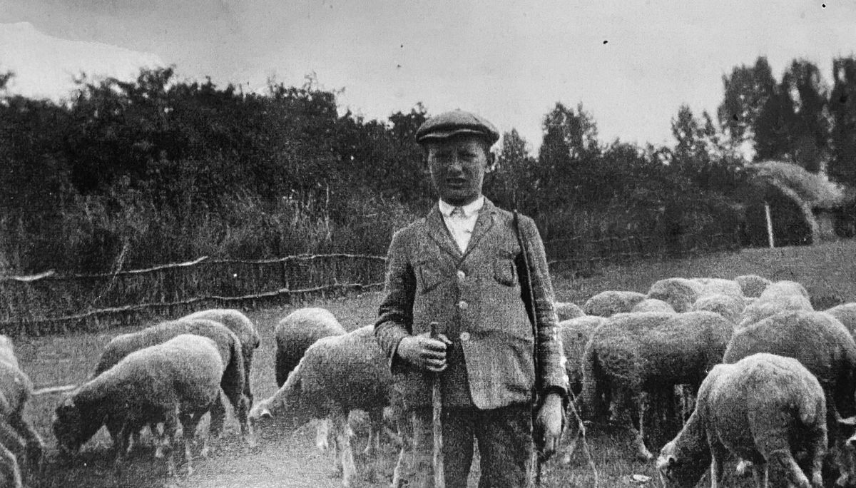 Na Žitnom ostrove bolo kedysi rozšírené...