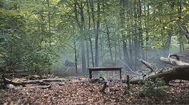 Biznis a ekológia sa nevylučujú, ale podmieňujú