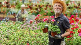 Penziu si môžete zvýšiť aj dobrovoľnými odvodmi