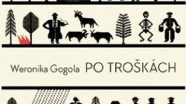 Weronika Gogola: Po troškách. Román o tých najdôležitejších veciach