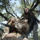 fear the walking dead,