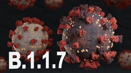 Štúdia: Britská mutácia covidu je o 64 percent smrteľnejšia