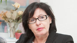 Profesorka: Keď sú strany majetkom ich predsedov