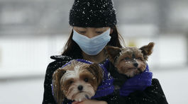 Európu strašia mutácie, na covid zomrelo v EÚ už 500-tisíc ľudí