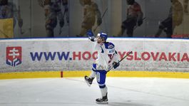 Cenné víťazstvo. Mešár hetrikom zostrelil Čechov