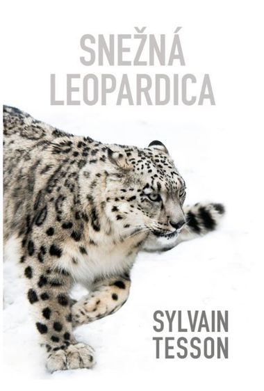 Sylvain Tesson: Snežná leopardica