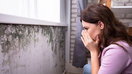 Nežite s plesňami na stenách