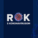 rok s koronavírusom,