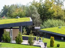 zelená strecha, ekológia, ekobývanie