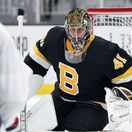 Capitals Bruins halák bosotn