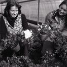 MDŽ, deň žien, kvety, darček