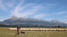 Urbár nie je prežitok. Učí správne žiť
