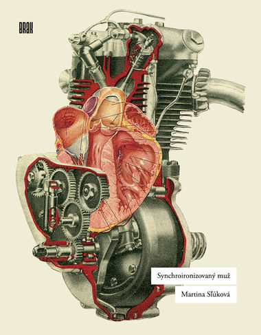 Martina Sľúková: Synchroironizovaný muž