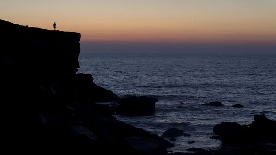 Jasmine Harrisonová