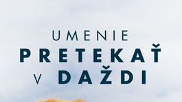 Garth Stein - Umenie pretekať v daždi. Príbeh verného psa Enza