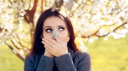 Pele už strpčujú život alergikom