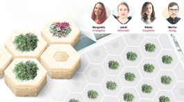 Schladia rozpálené mestá huby, machy, tiene lesa?