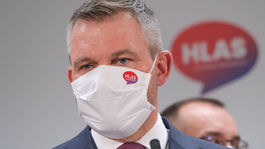 Prieskum: Voľby by vyhral Hlas, Progresívne Slovensko rastie