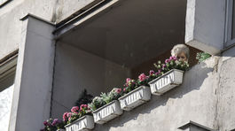 Ružinov odhalil prípady možného týrania seniorov v domove dôchodcov