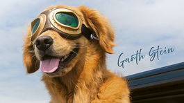 Ďalšie jarné knižné tipy: Sedem silných príbehov, ktoré útočia na všetky zmysly