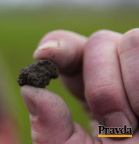 Zem z nezoraného poľa možno zobrať do ruky,...