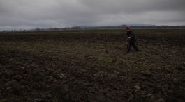 Ako zachrániť klímu, vodu, potraviny? Neorať polia!