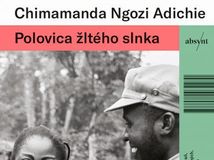 Polovica žltého slnka - obal knihy