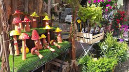 Záhrada: Nový projekt denníka Pravda