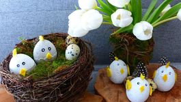 Veselé jarné kuriatka z betónu