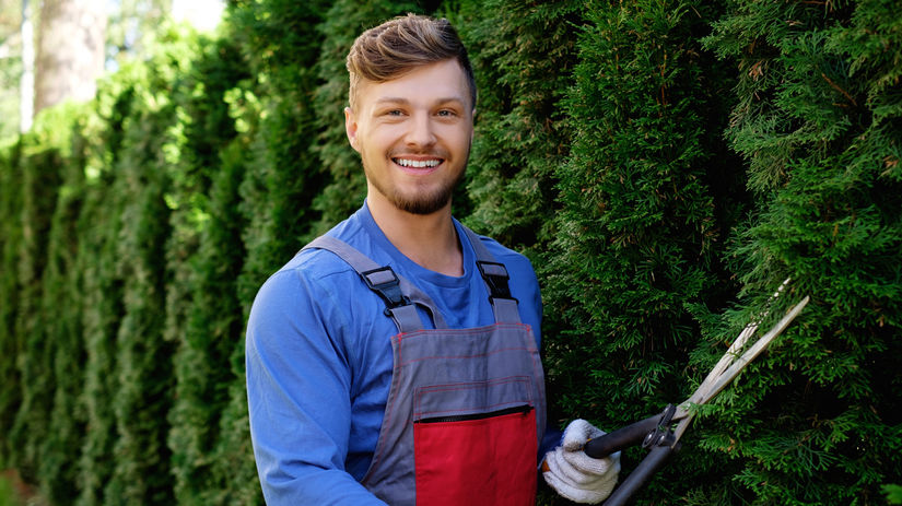 muž, záhrada, záhradkár, nožnivce, strihanie,...