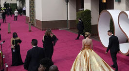 93rd Academy Awards - Arrivals