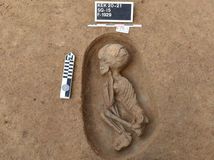 Egypt Antiquities