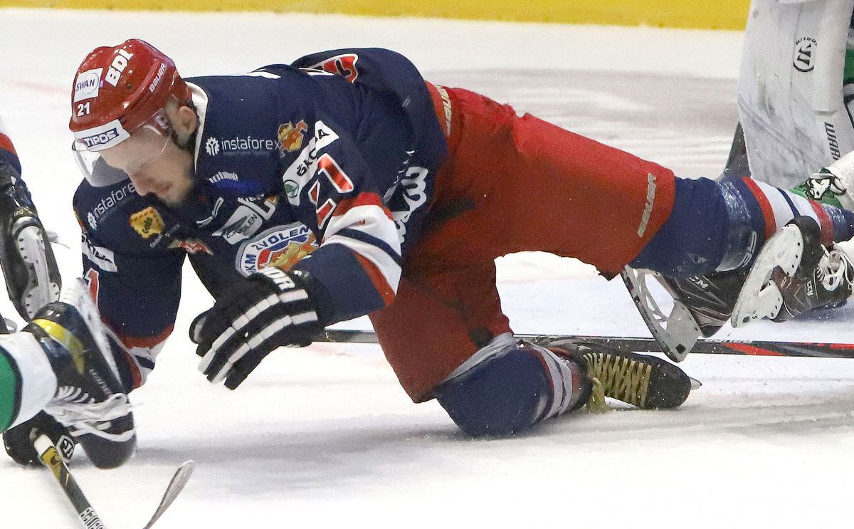 Radovan Puliš.