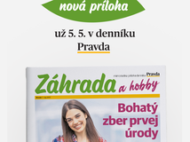 Záhrada_05