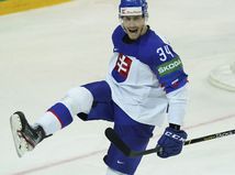 Latvia Ice Hockey Worlds cehlárik hokej
