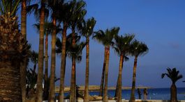 Cyprus, palmy, dovolenka, more,